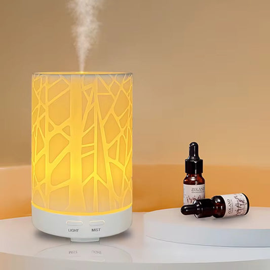 humidificateur de voiture